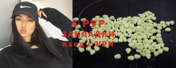 молекула духа Алексеевка