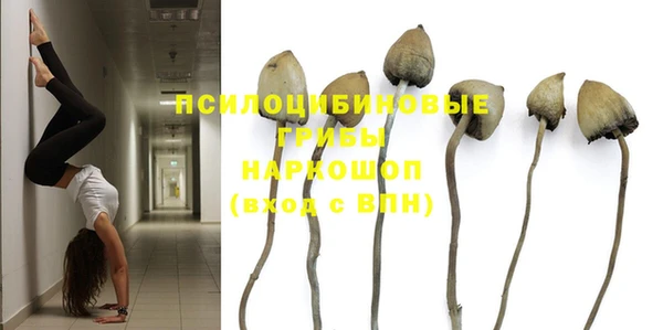 хмурый Алзамай