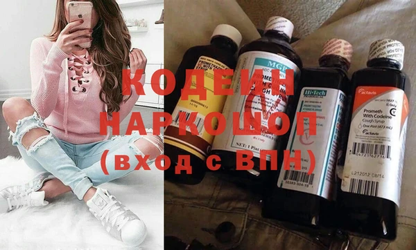 хмурый Алзамай