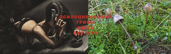 хмурый Алзамай