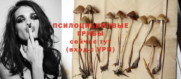 хмурый Алзамай