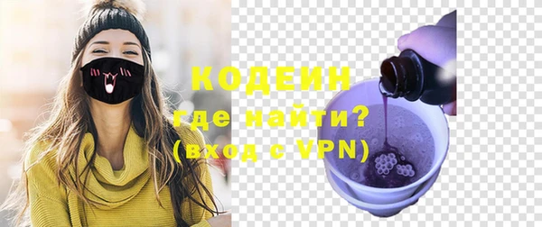 хмурый Алзамай