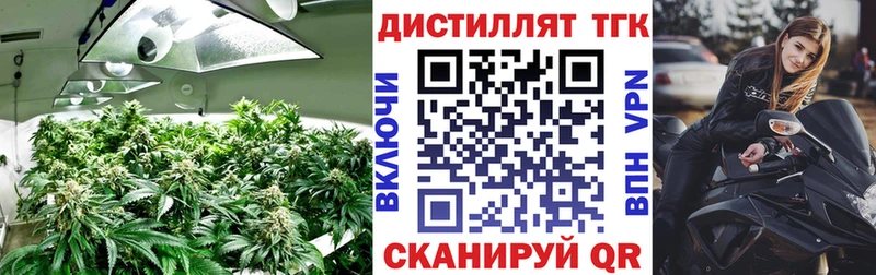 ТГК Wax  OMG ССЫЛКА  Тара 