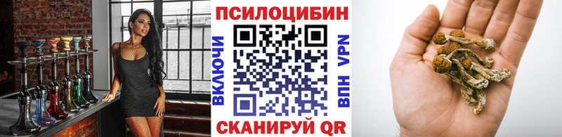 Галлюциногенные грибы Magic Shrooms  Тара 